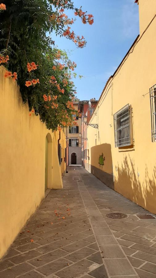 Casa Campanella Bed & Breakfast Pisa Exterior photo